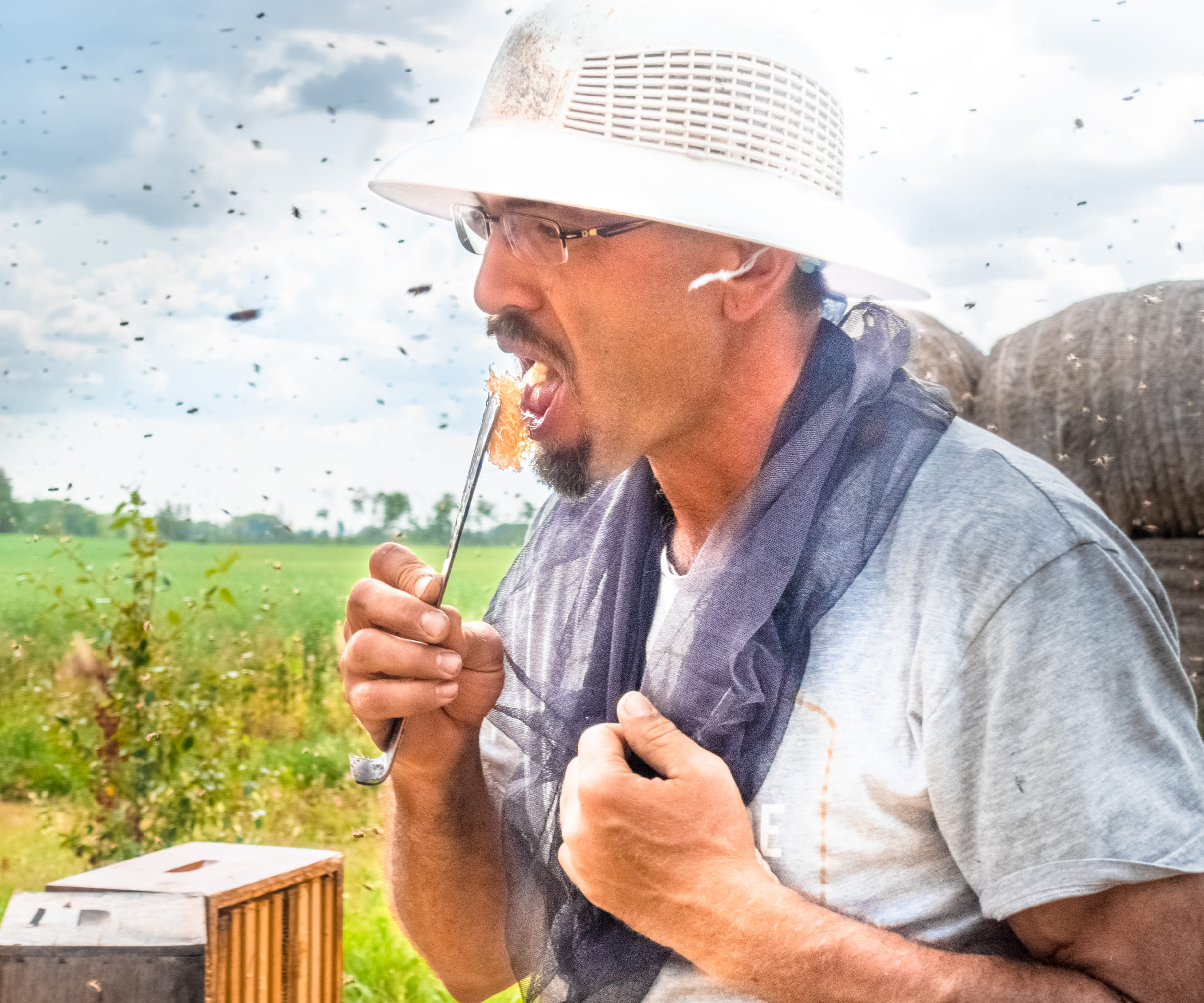 Eat like a beekeeper. Senior apiarist, Jake Dingman, takes a quick break from harvest to enjoy some raw honey strait from the hive. (photo: Brent Richard Ross)