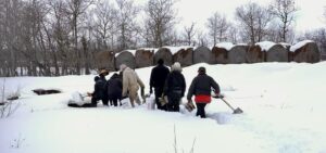 Wendell Honey Team digs snow to check bees in spring