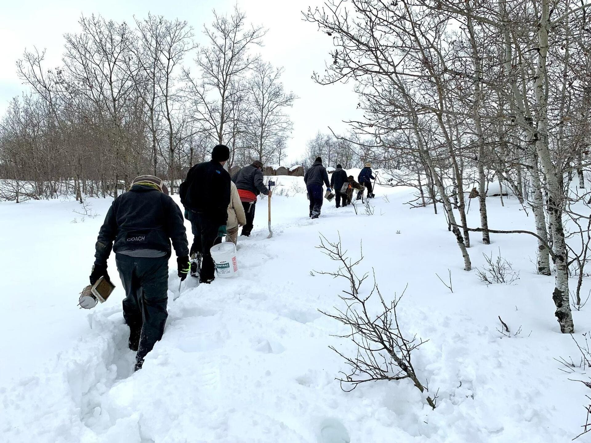 The beekeeping team trudges through deep snow to assess winter damage