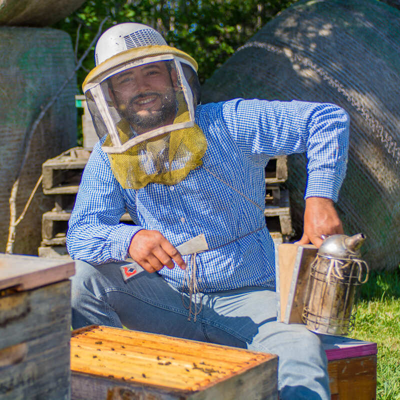 Juan checking the health of the beehives. Each of the 4000 hives gets checked a minimum of 3 times each year. Healthy bees - healthy honey.