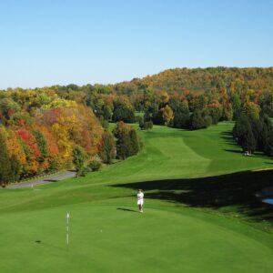 Golf course a mile away from a bee yard? All the beehives will fail organic certification