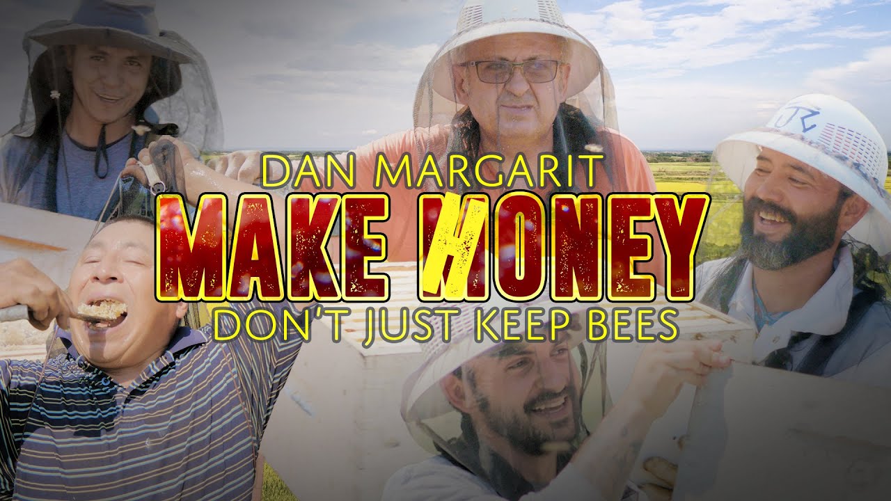 Dan Margarit's philosophy on the business of bees