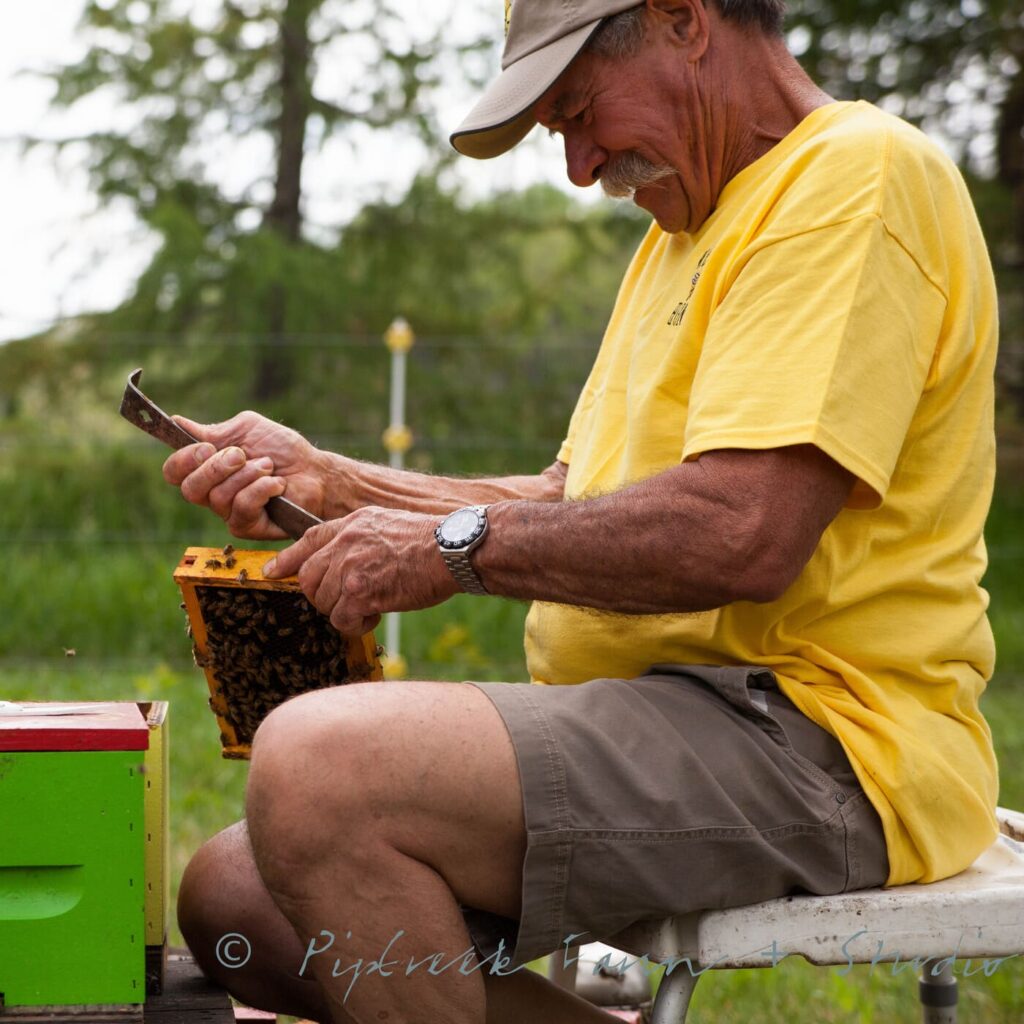Tim Wendell, Founder and Owner of Wendell Estate Honey, doing what he loves most, checking his bees