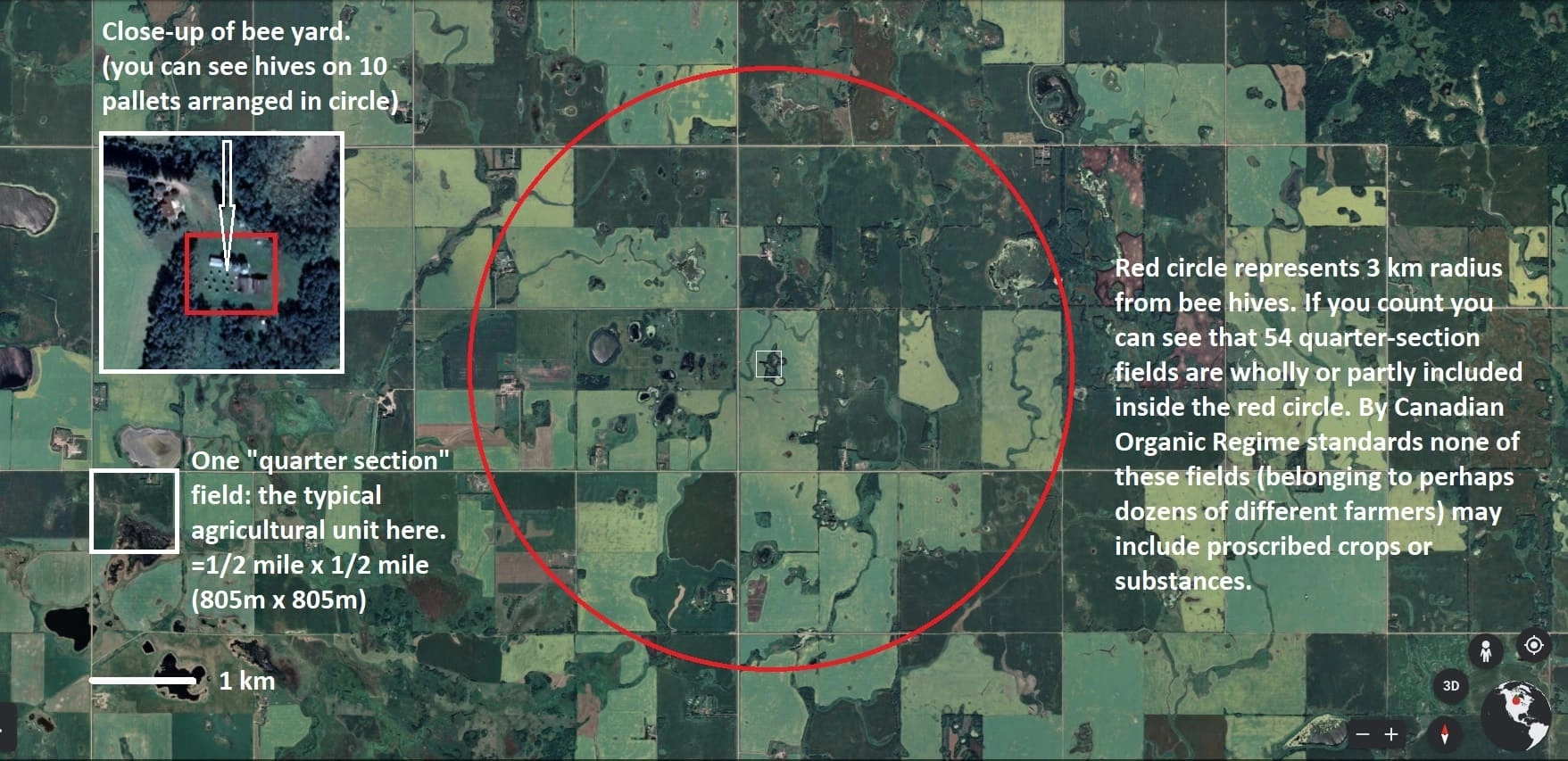 The 3km / 1.8 mile buffer zone for around a bee yard (apairy) as seen on Google Earth. Image: Jeremy Wendell