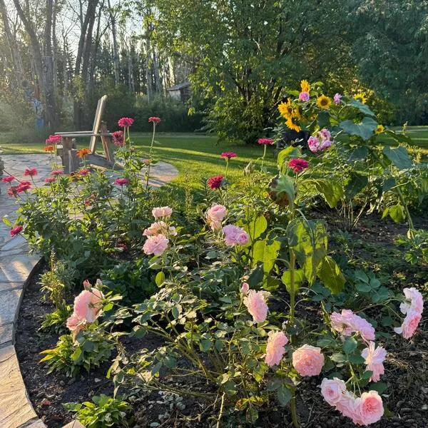 My flower garden in the September sunrise