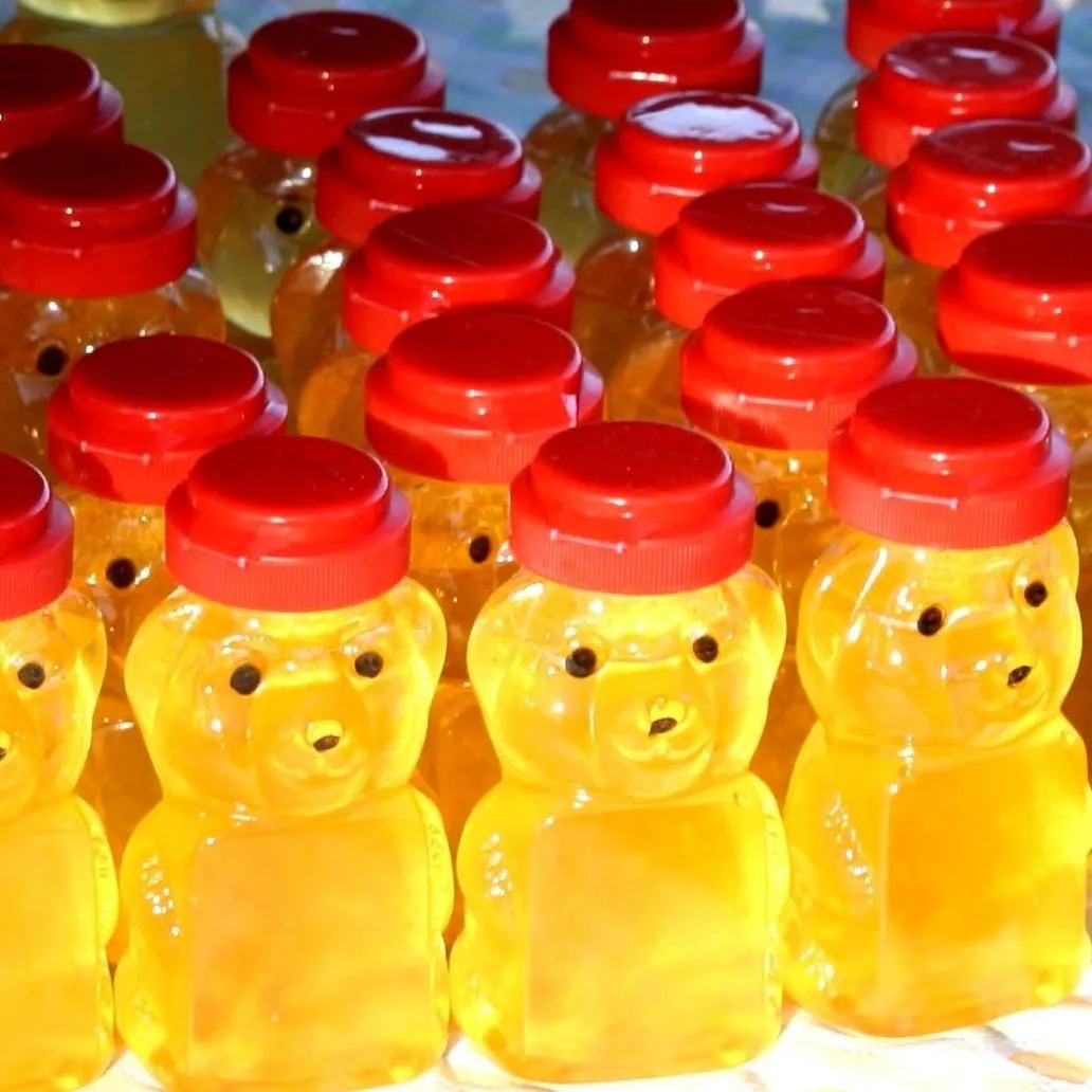 Uniform, translucent, pasteurized processed honey