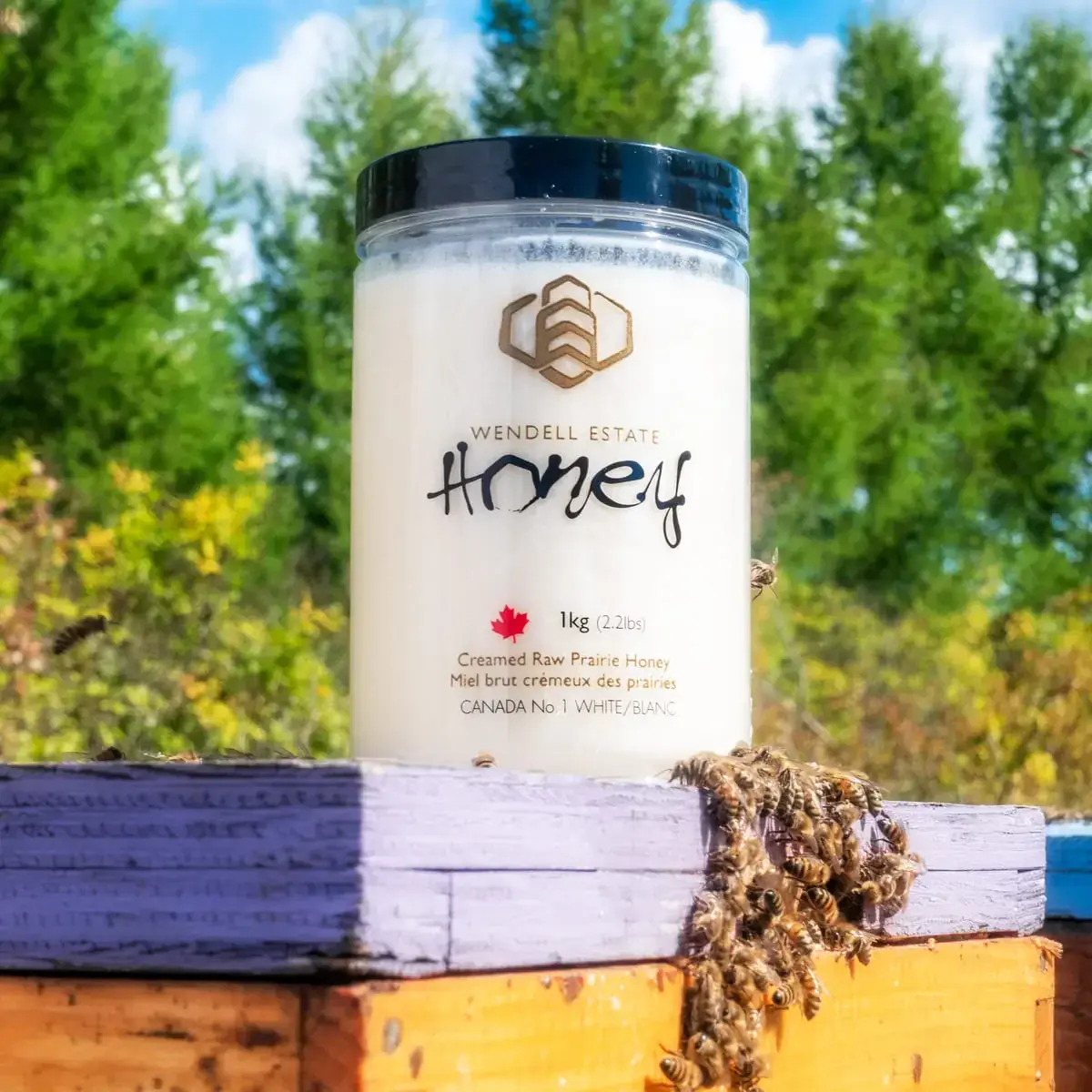 Honey is the soul of a field of flowers. Raw Canadian honey.